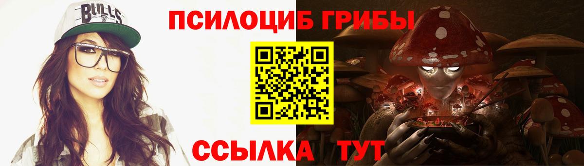 Старая Купавна  Галлюциногенные грибы Magic Shrooms  купить закладку  Галлюциногенные грибы Psilocybe  Вход с VPN 